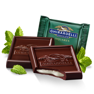 Dark Chocolate Mint SQUARES Case Pack (430 ct)