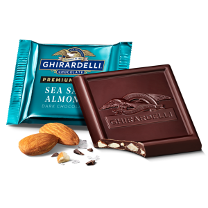 Premium Dark Sea Salt Almond Dark Chocolate Squares Case Pack (540 ct)